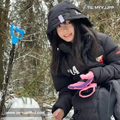 丁菊